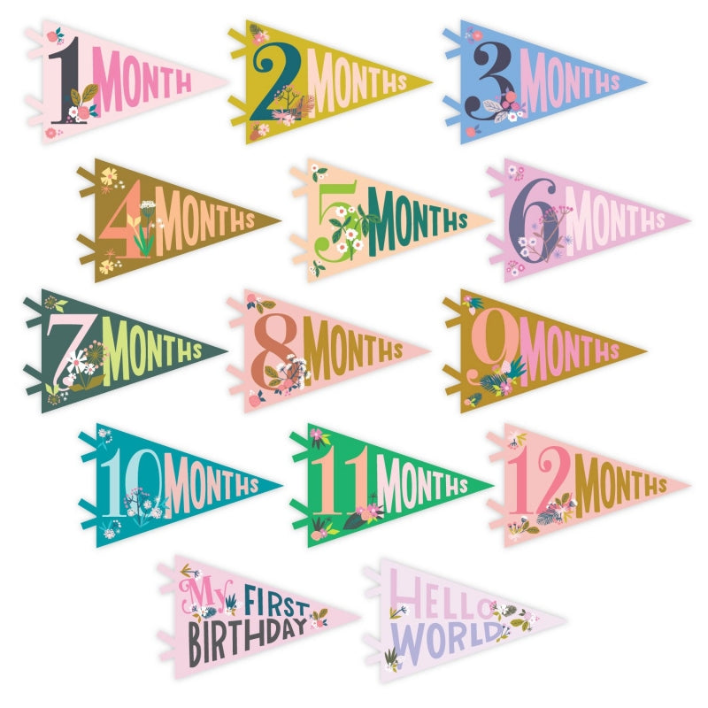 Little Artist Petit Baby Milestone Pennant