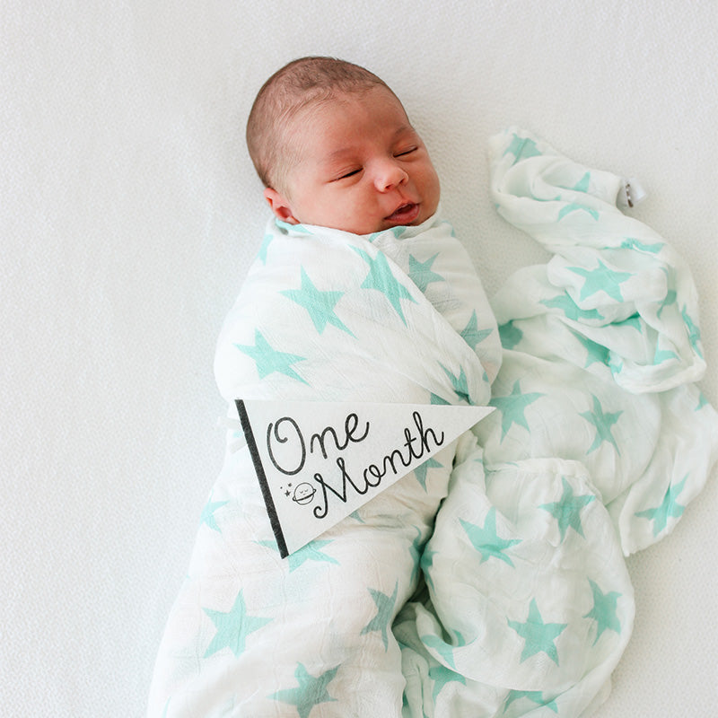 Lucy Darling Little Stargazer Petit Baby Milestone Pennant