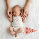 1-month milestone photo with mom's hands and Blushing Meadows pennant
