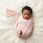 Newborn hello-world milestone photo with Blushing Meadows pennant