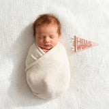 Newborn hello-world milestone photo with Mountain Fields pennant