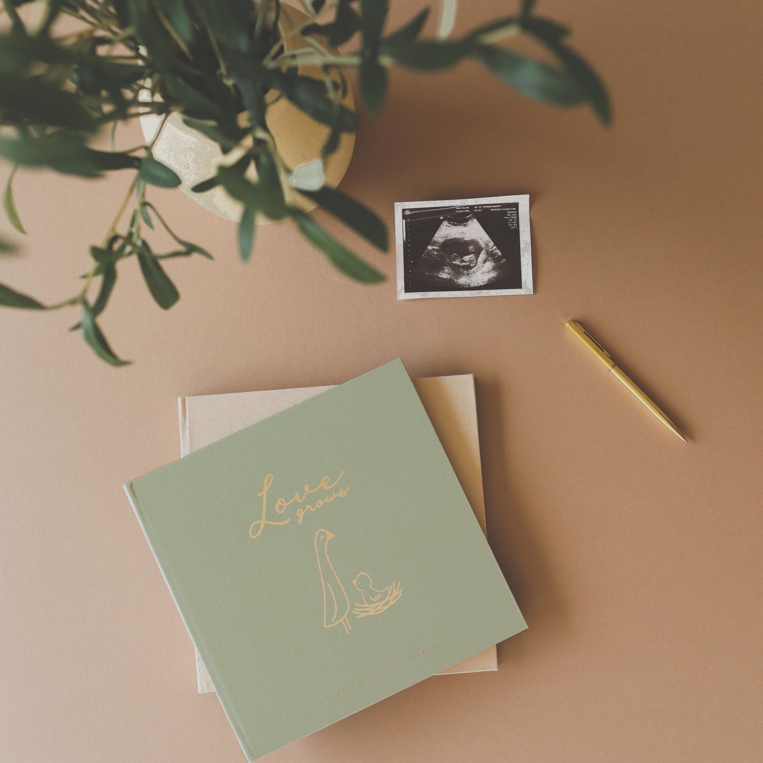 Lucy Darling Pregnancy Journal