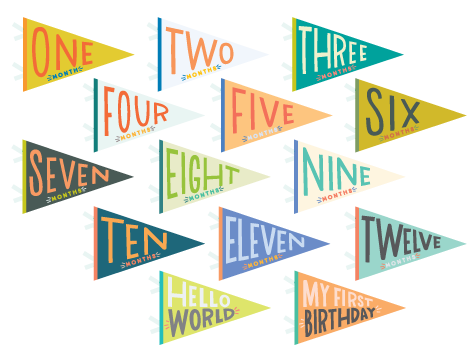 Lucy Darling Petit Milestone Pennants - capture all the Darling Moments of baby's first year!