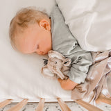 Little Animal Lover Lovey Blanket