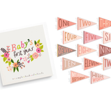 Little Artist  and Blushing Meadow  Pennant Set baby memory book — product shot