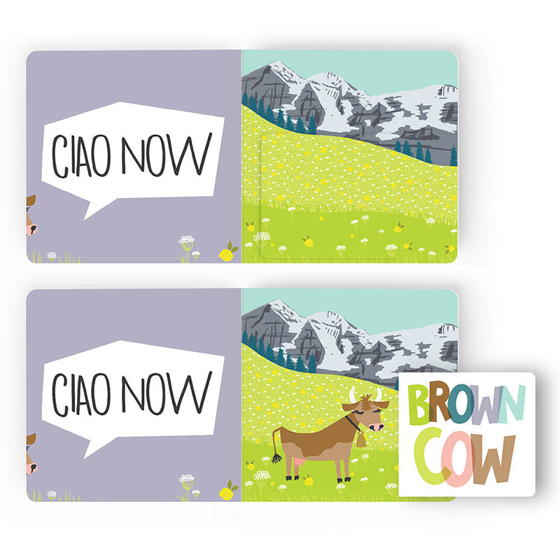 Buffalo Book and Stuffed Animal Set — flat lay