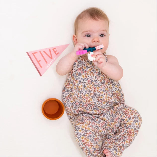 Little Artist Memory Baby Book and Blushing Meadow Petit Milestone Pennant Set