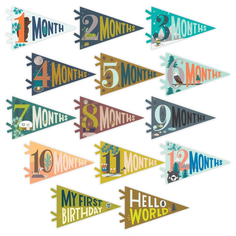 Little Camper Petit Baby Milestone Pennant