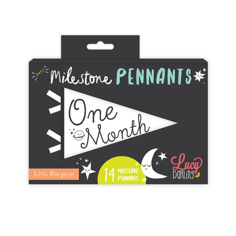 Little Stargazer Petit Baby Milestone Pennant