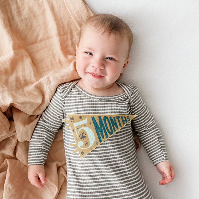 Lucy Darling Little Camper Petit Baby Milestone Pennant