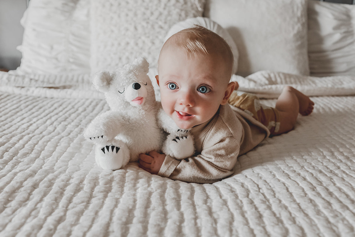 Little Bear - Snowy